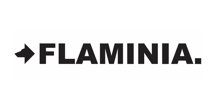 Logo Flaminia